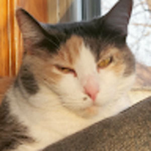 Meet your Posher, Tucker